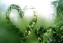 东至红娘婚介公司哪家好？